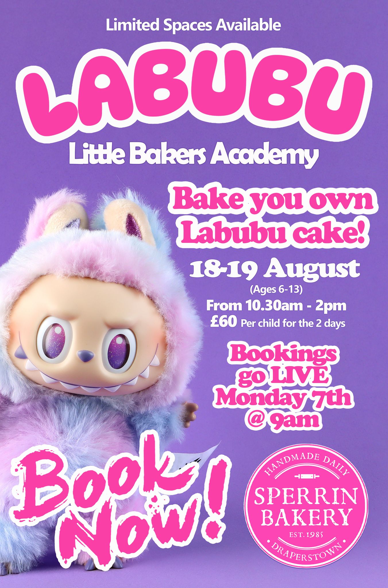 Bake your own Labubu - 18 & 19th August (2 day class)
