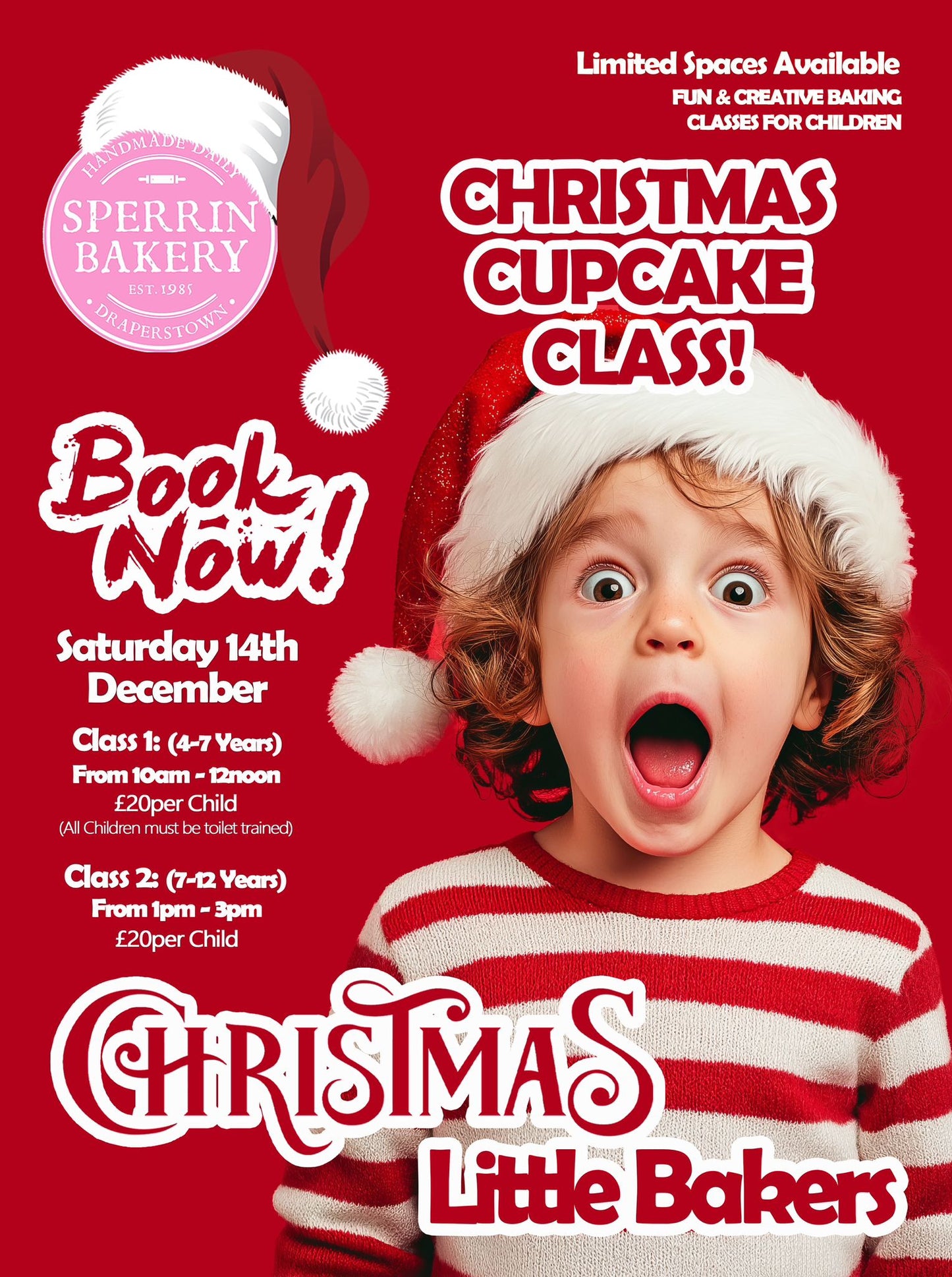 Christmas Cupcake Class (4-7 Years old) Saturday 14th December 2024